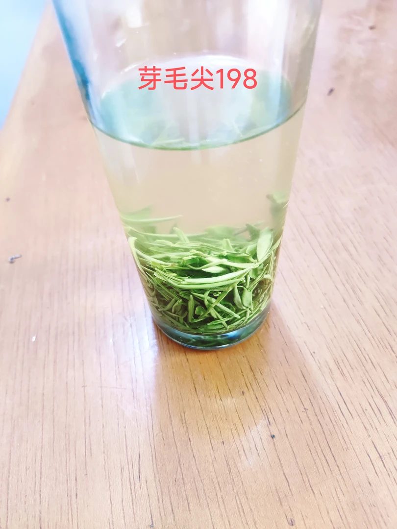 4号2025新茶五峰芽毛尖湖北宜昌三峡绿茶炒青茶叶250gⅩ2袋