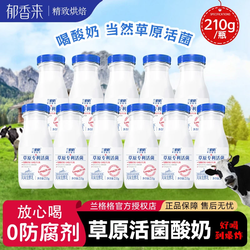 兰格格草原活菌酸奶210g小瓶装益生菌专利内蒙古风味发酵低温酸奶