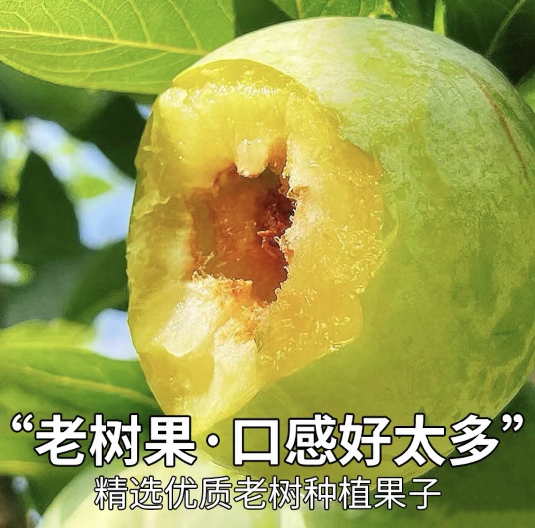 （顺丰京东包邮）古田油奈当季新鲜现摘脱骨李脆甜青脆李包邮嘎啦果