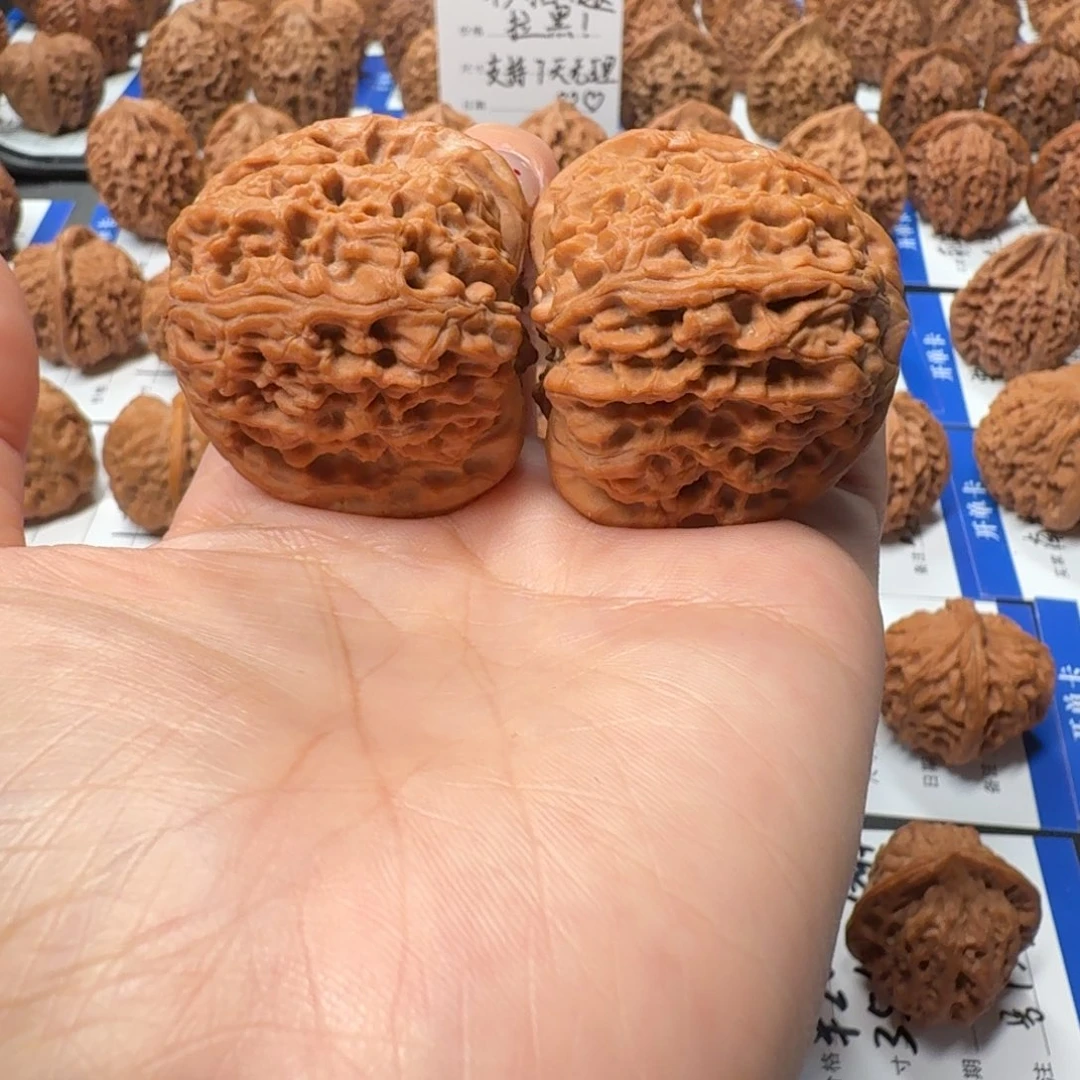 核桃151号 4.4尺全勤南疆石 白茬