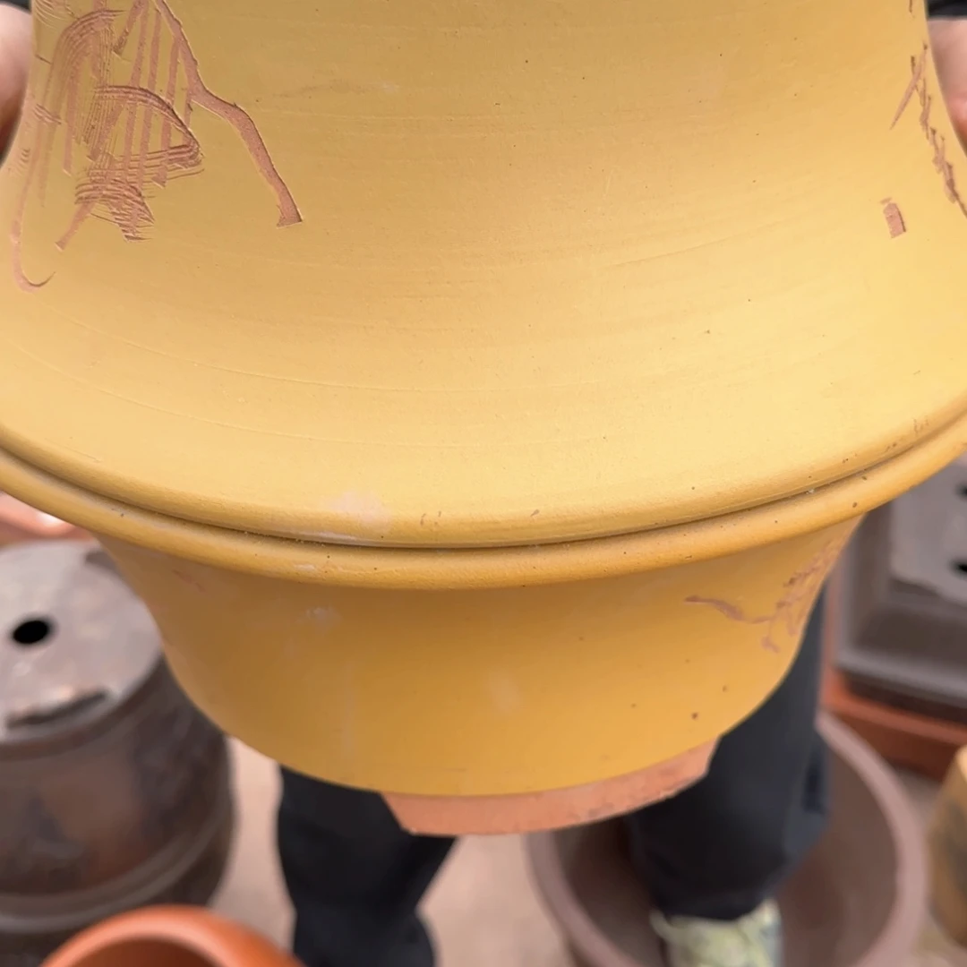 紫砂口径22.9口口