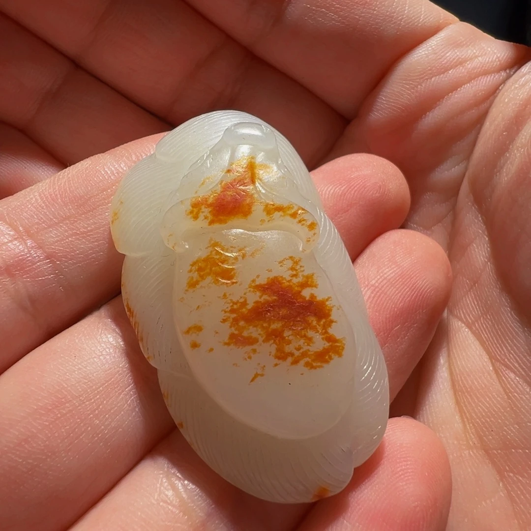 勒子勒子勒子勒子勒子