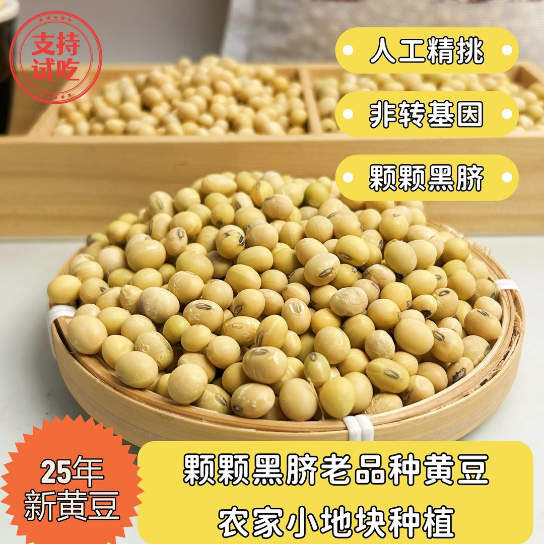 【25年黑脐黄豆】老品种天然黄豆健康营养精选豆浆农家种植非转豆腐