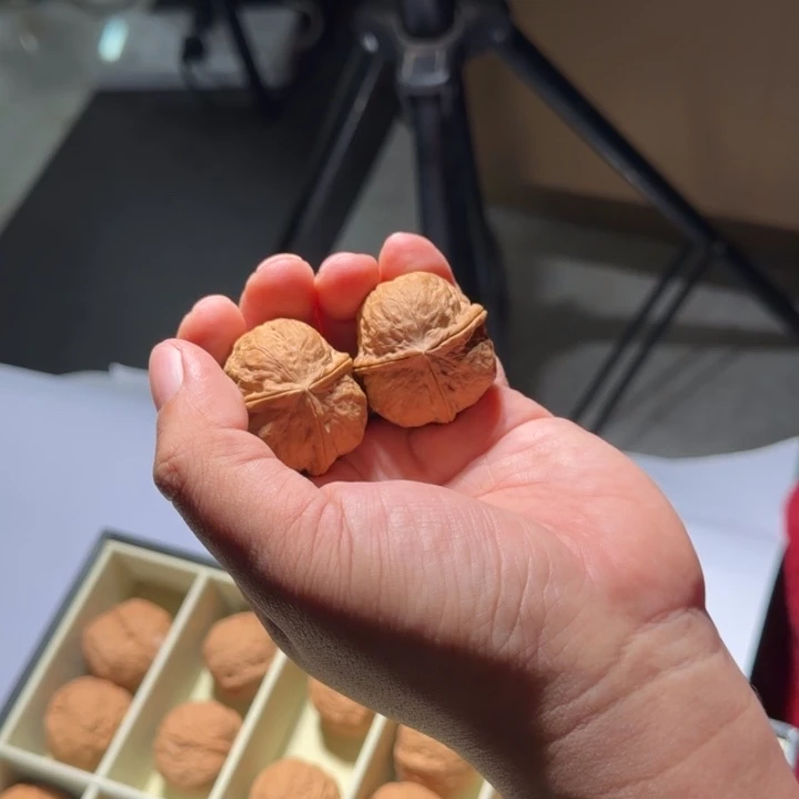 文玩核桃把件铁90号龙鳞三棱