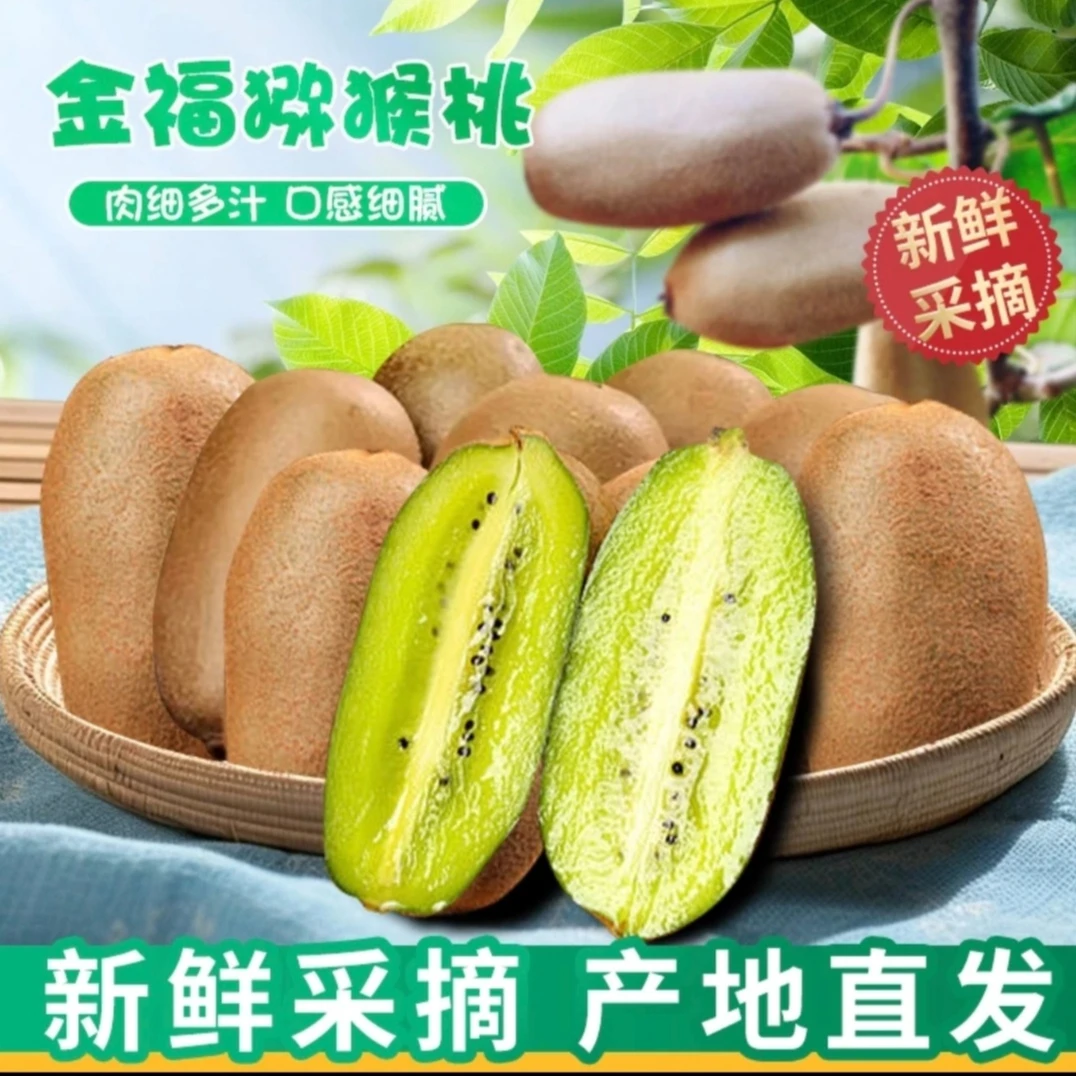 【现摘现发】陕西金福猕猴桃大果薄皮多汁纯甜无酸当季新鲜孕妇水果