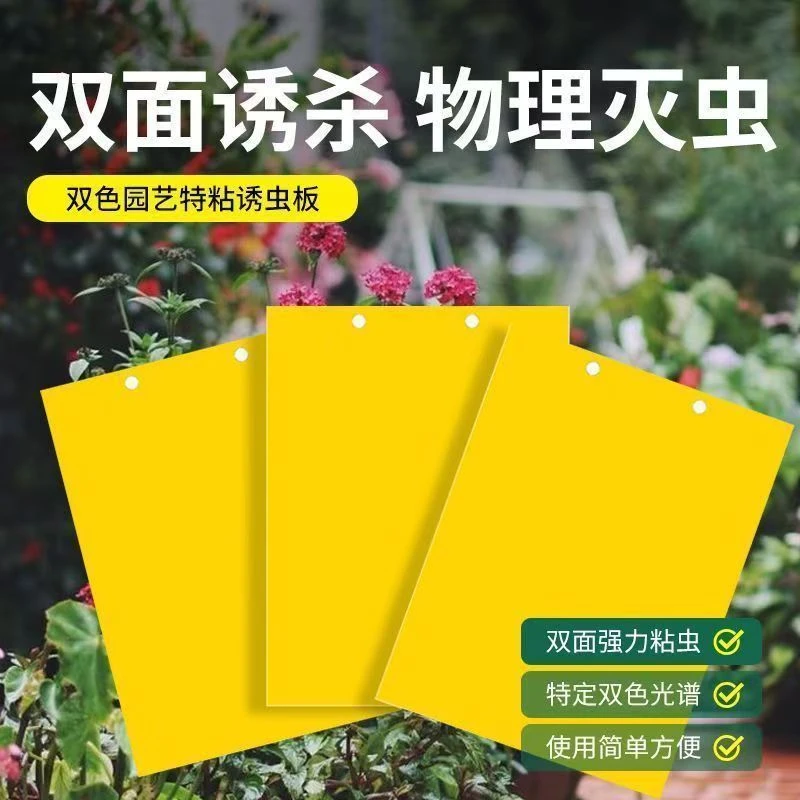 洒万稼黄色双面粘虫板贴纸强力小飞虫果蝇诱捕神器蚊子苍蝇小黑飞