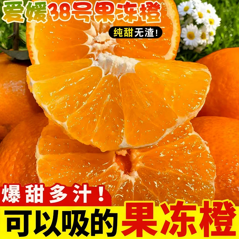 四川爱媛38号果冻橙新鲜现摘香甜多汁应季果正宗四川爱媛果冻橙