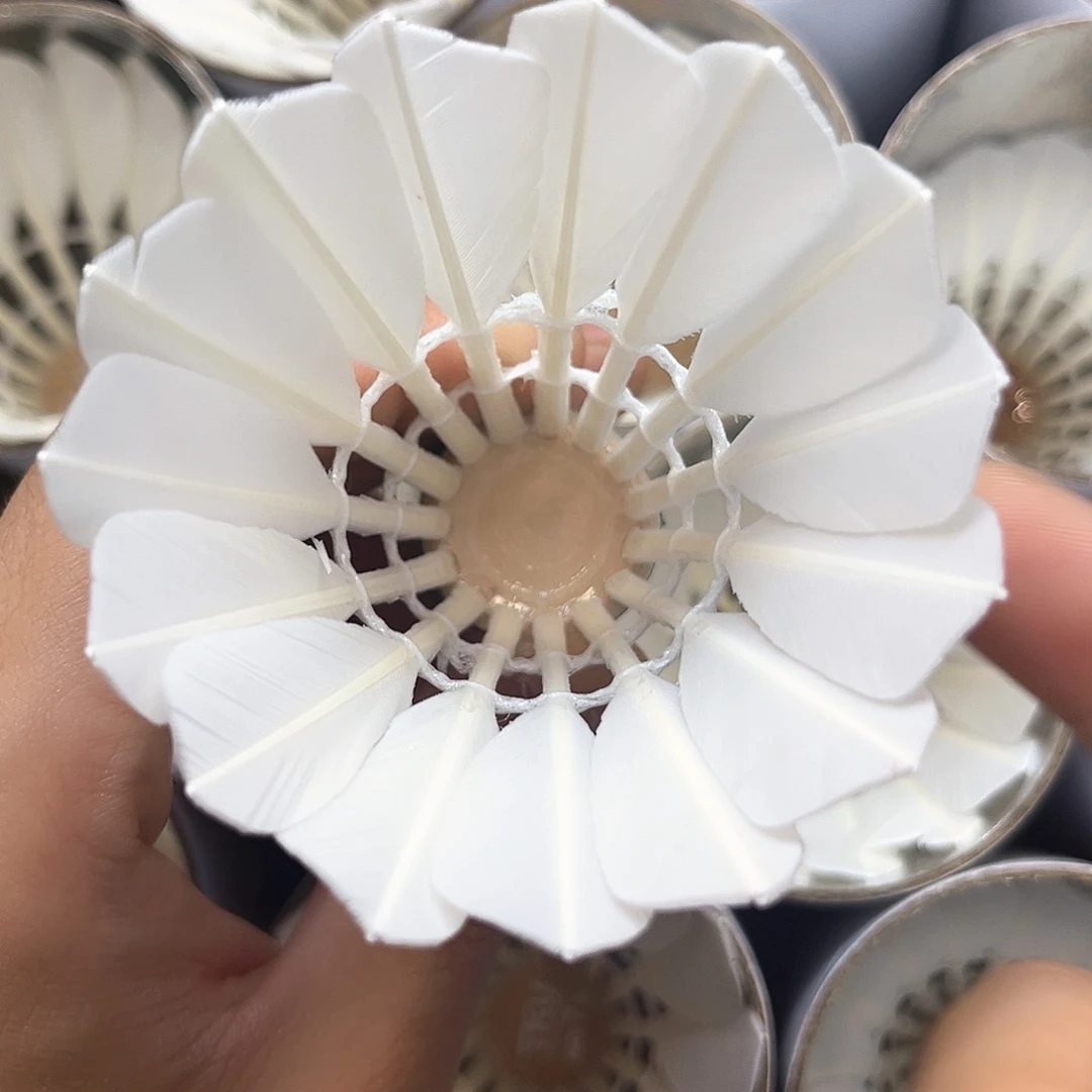 无标鸭毛全圆全羽12只装76速