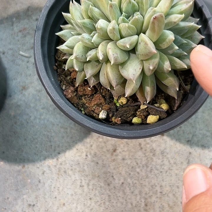 幻影46788888888888888889