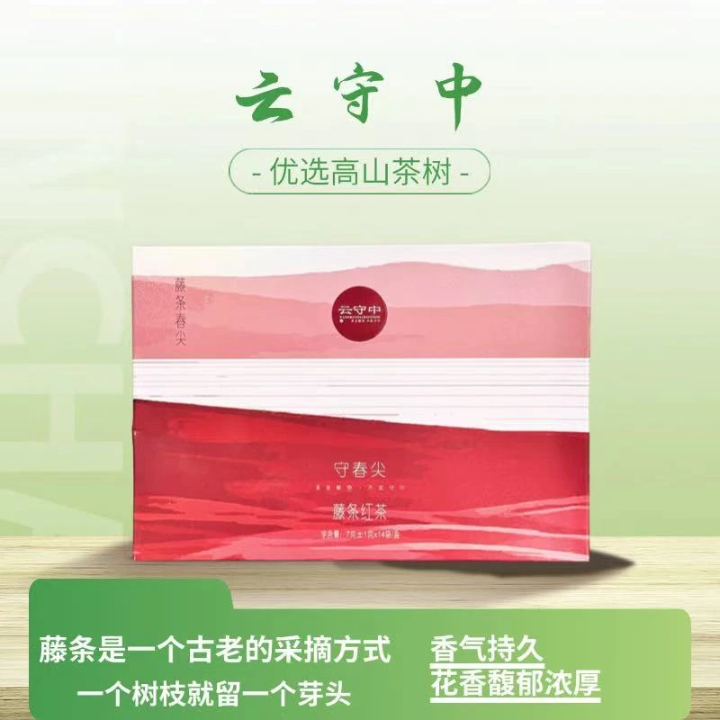 云守中 守春尖 藤条春尖  红茶98g/盒（7g*14袋）