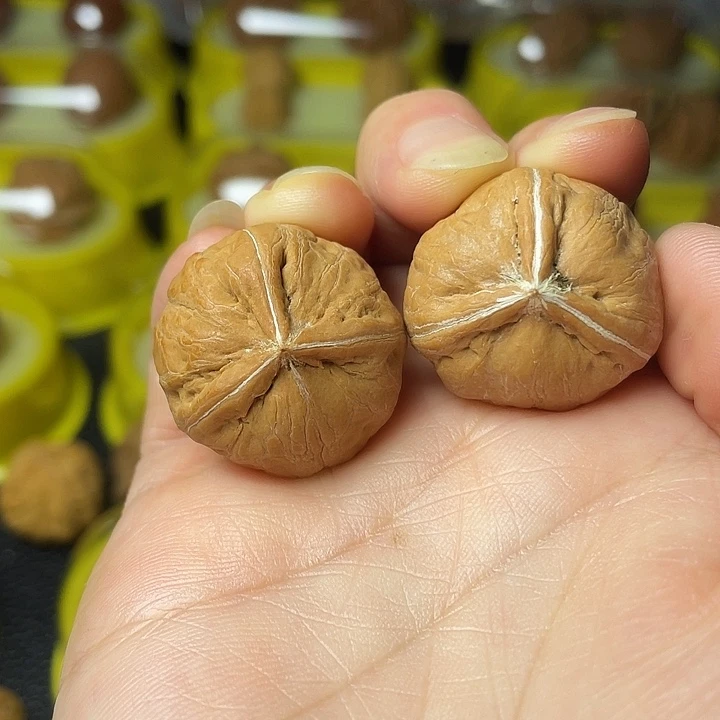 文玩核桃吊坠正奔