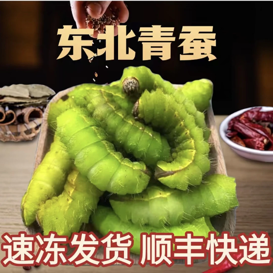 东北速冻青蚕新鲜特产食用水煮油炸冷冻发货保鲜凉拌黄瓜中华青虫