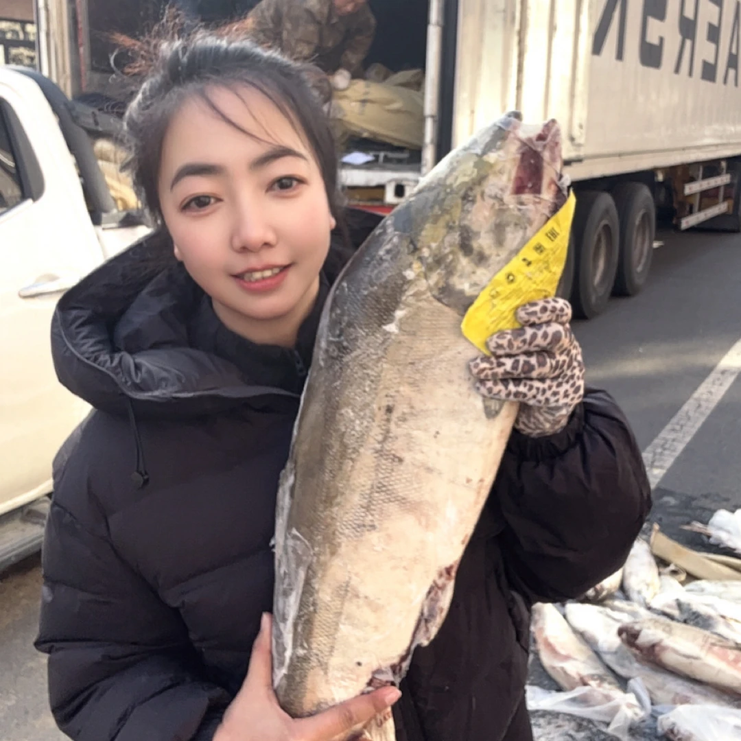 大马哈鱼顺丰包邮（公）