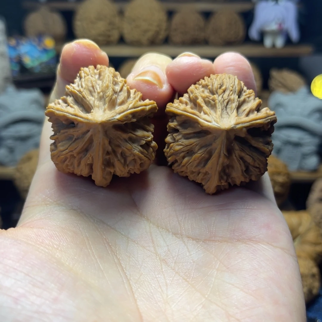 文玩核桃吊坠37尺文山三棱