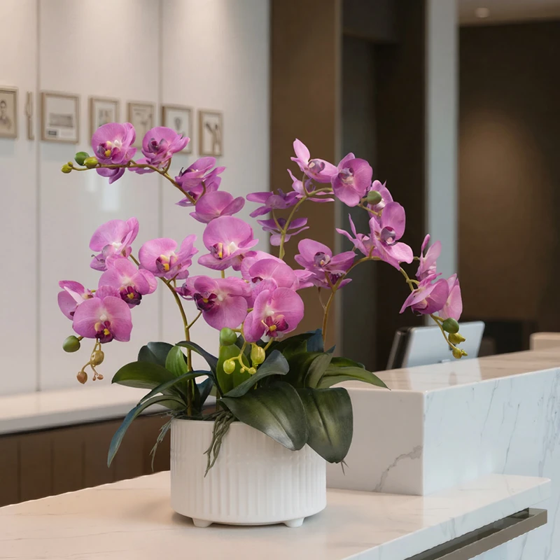 保湿仿真蝴蝶兰盆栽美容院前台适合酒店吧台办公室家居摆放