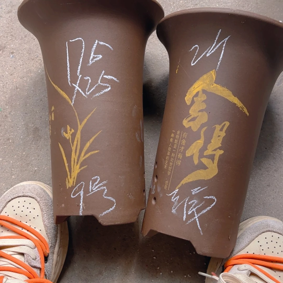 紫砂9号……………………………………