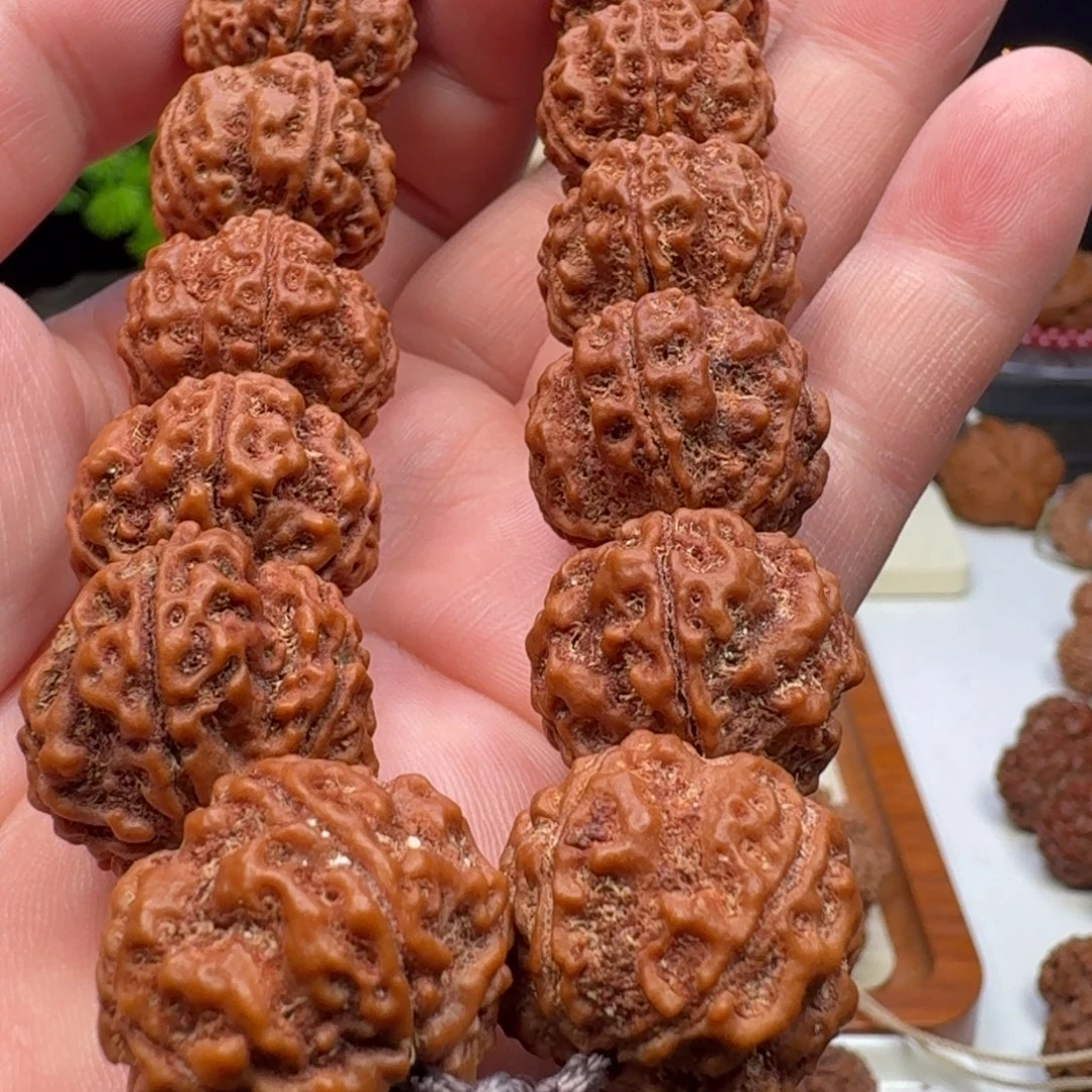 手串金刚菩提粗筋双龙