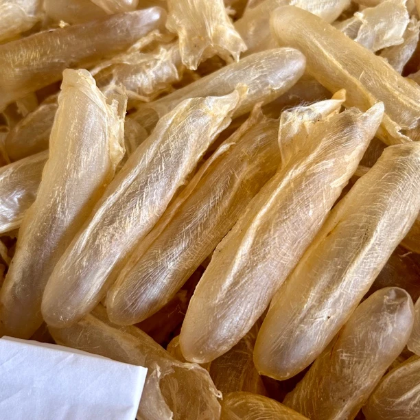 本港黄花胶 鱼胶滋补干货鱼鳔鱼肚煲汤营养食材美容养颜