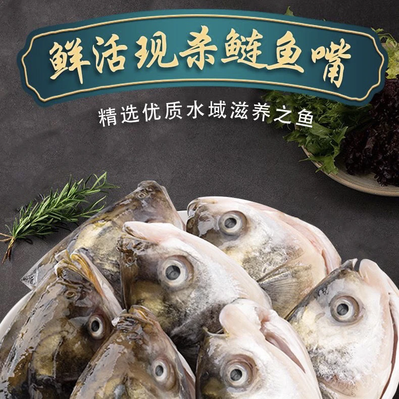 鲜活鲢鱼嘴新鲜鱼嘴鱼下巴活鱼现杀净膛去鳞去鳃