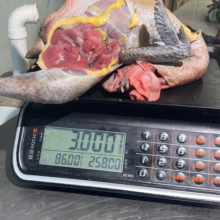 二号公鸡食用农产品中国大陆墨**泱