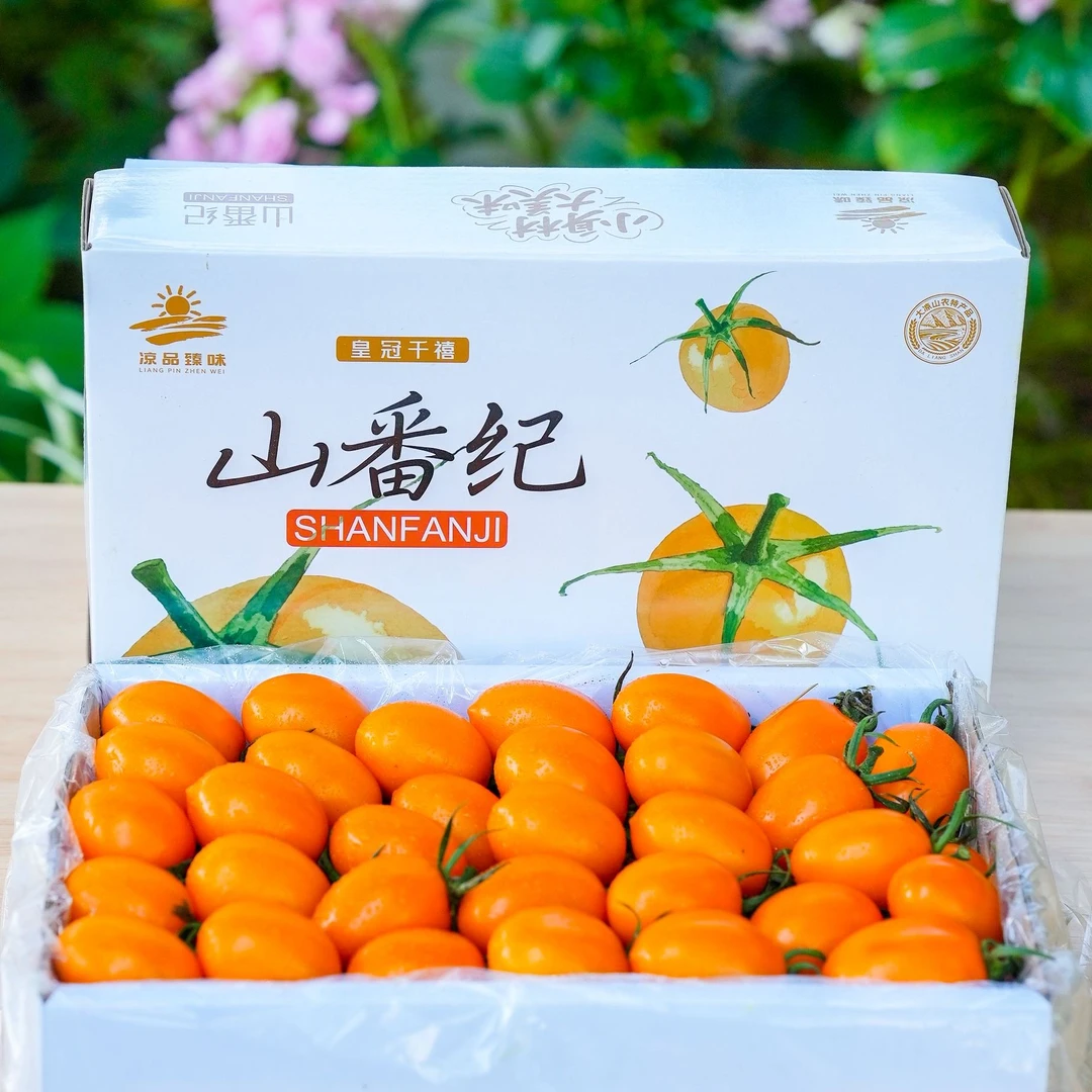 【顺丰】皇冠千禧小番茄 新鲜采摘 口感香甜 生吃脆甜 水果番茄