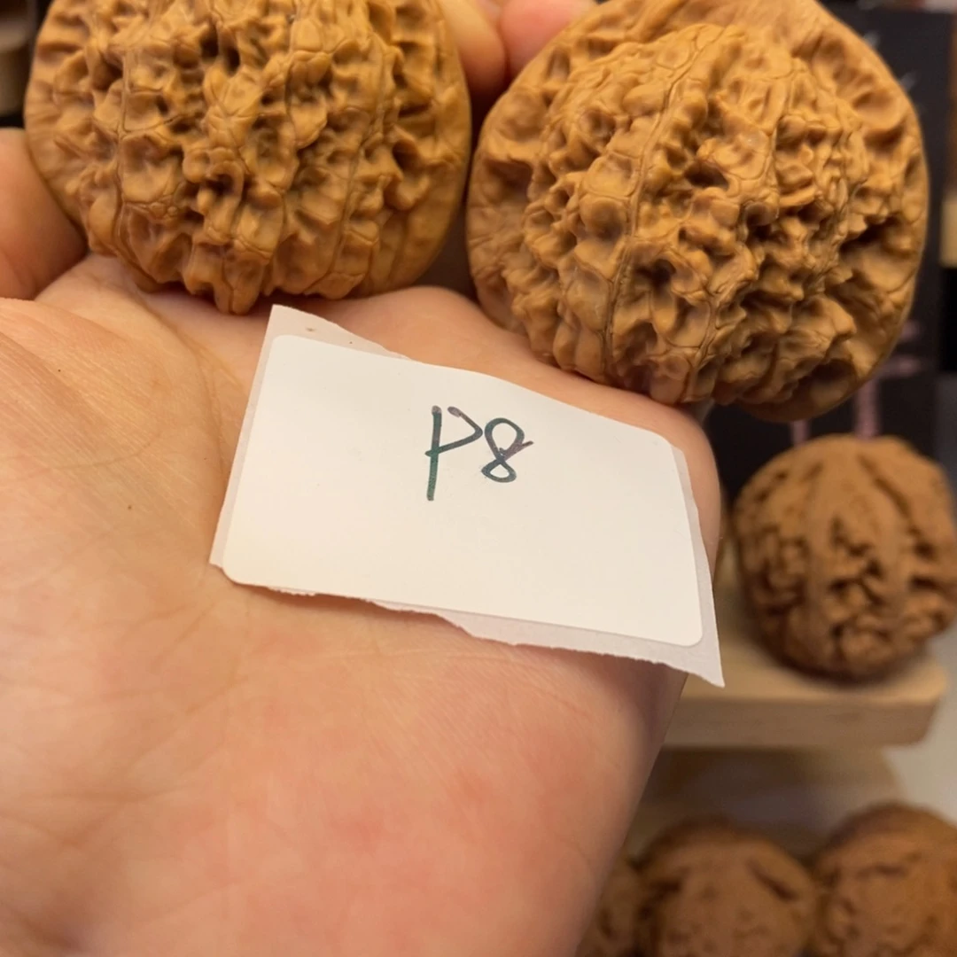 P8龙鼎大官帽50+丢丢虚尖