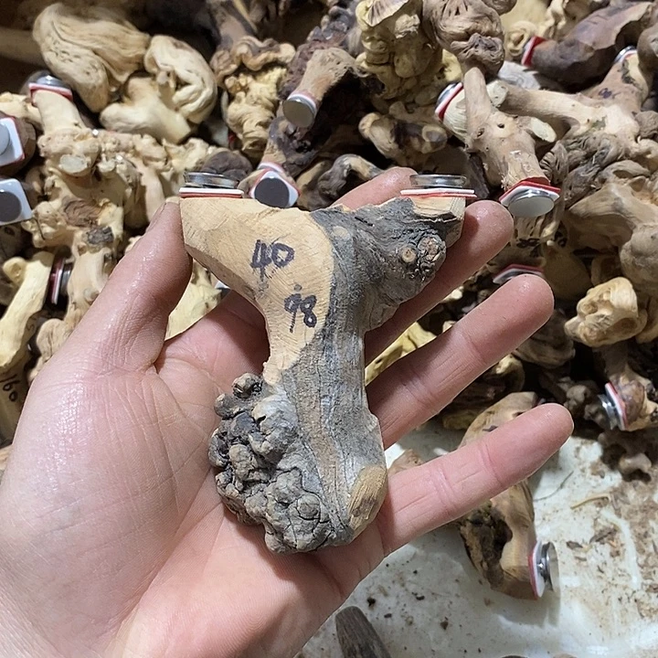 林***人毛料毛料毛料毛料