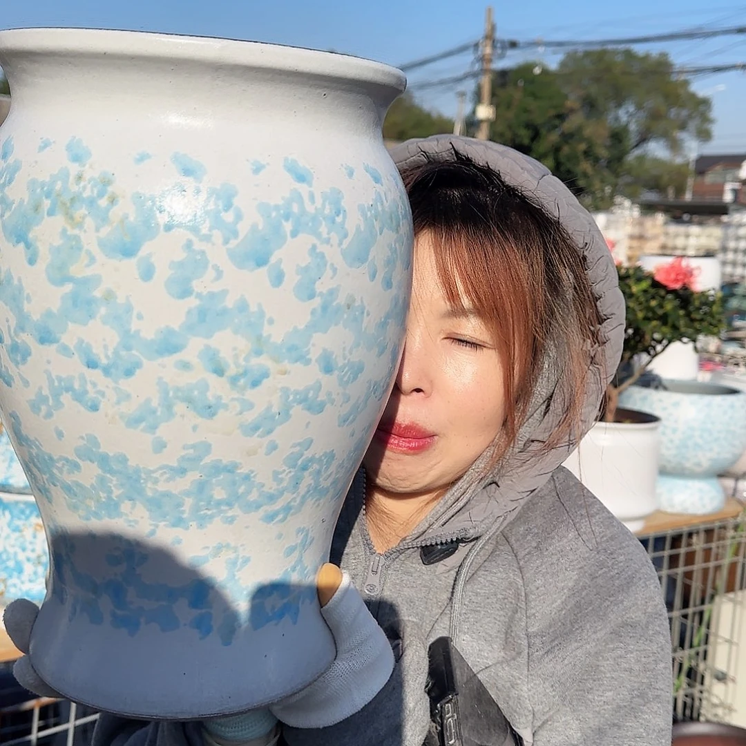 王嫂花盆直播1118-352高30口20