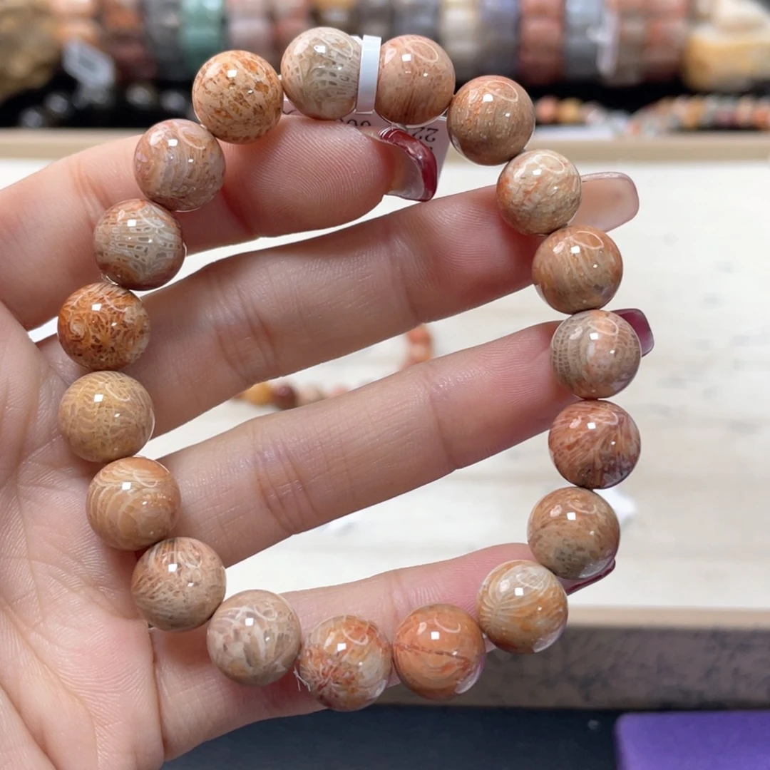 硅化珊瑚（珊瑚玉）手链未镶嵌༄****228