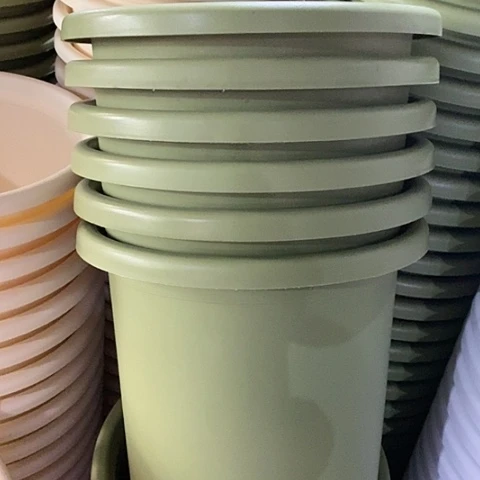 树脂四季7号5个果绿无托