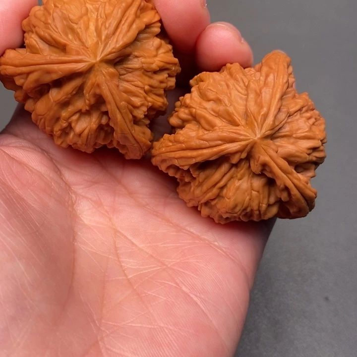 秦***富木质类核桃核桃核桃