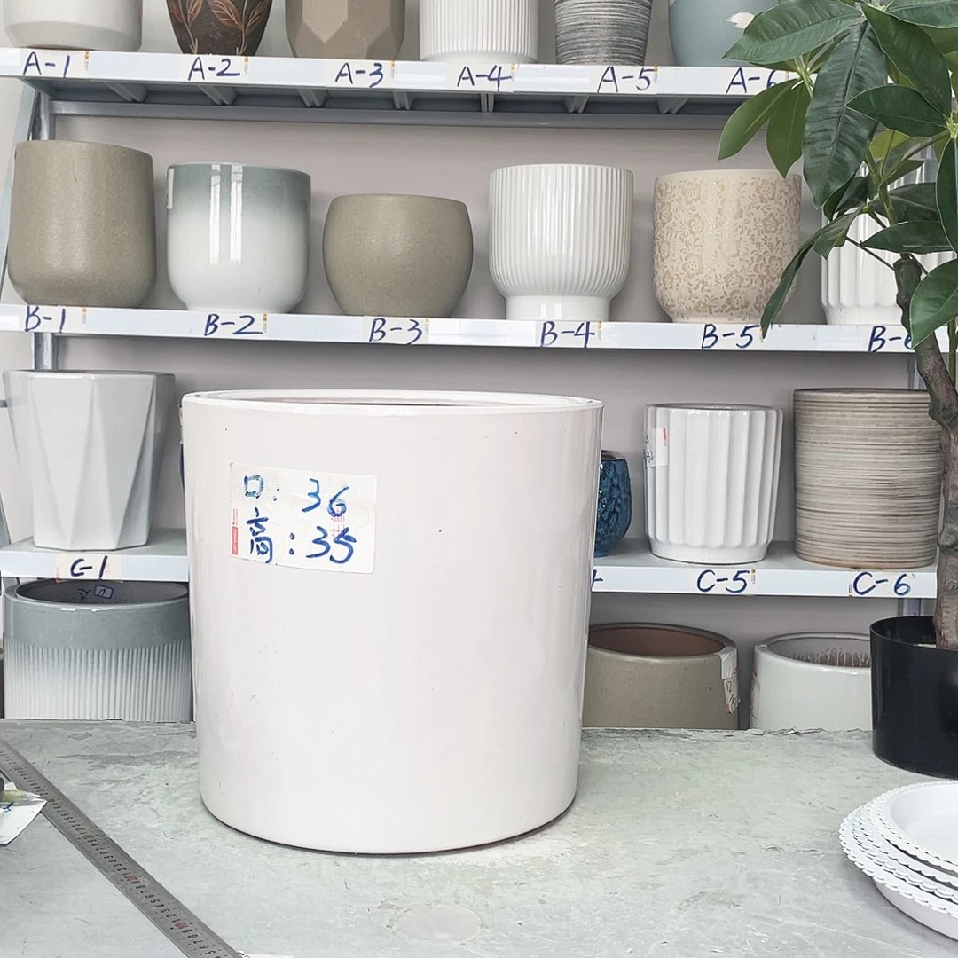 口径36-35发两个