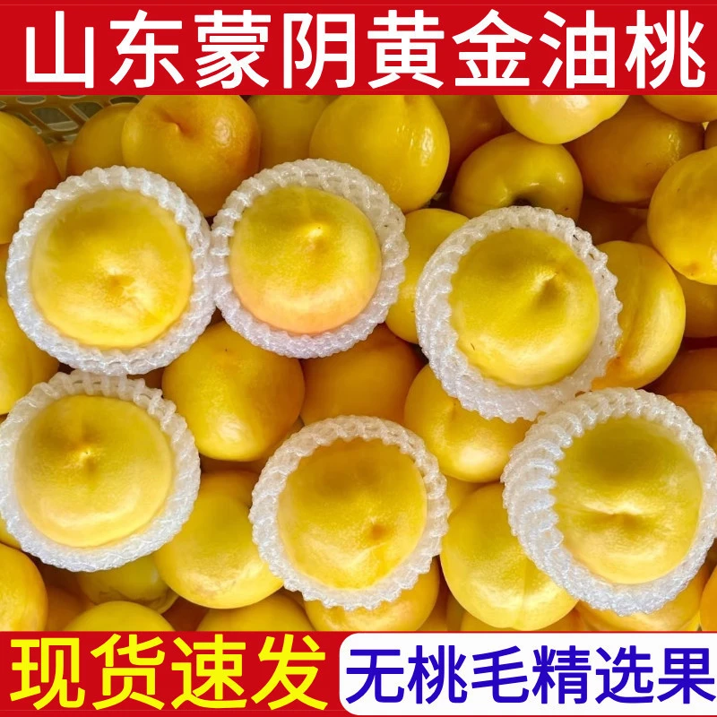 正宗山东蒙阴油桃新鲜水果脆甜多汁现摘现发孕妇水果油桃桃子