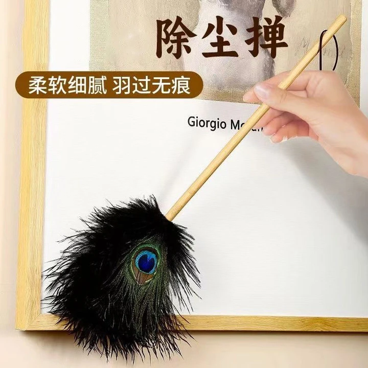 孔雀鸵鸟除尘掸子胡桃木鸡毛掸子家用扫灰神器静电手作装饰品禅子