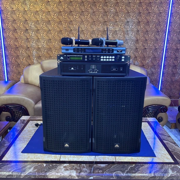 9新  （不包邮）英国AE高端系列12寸音响四件套➕悠响点歌机