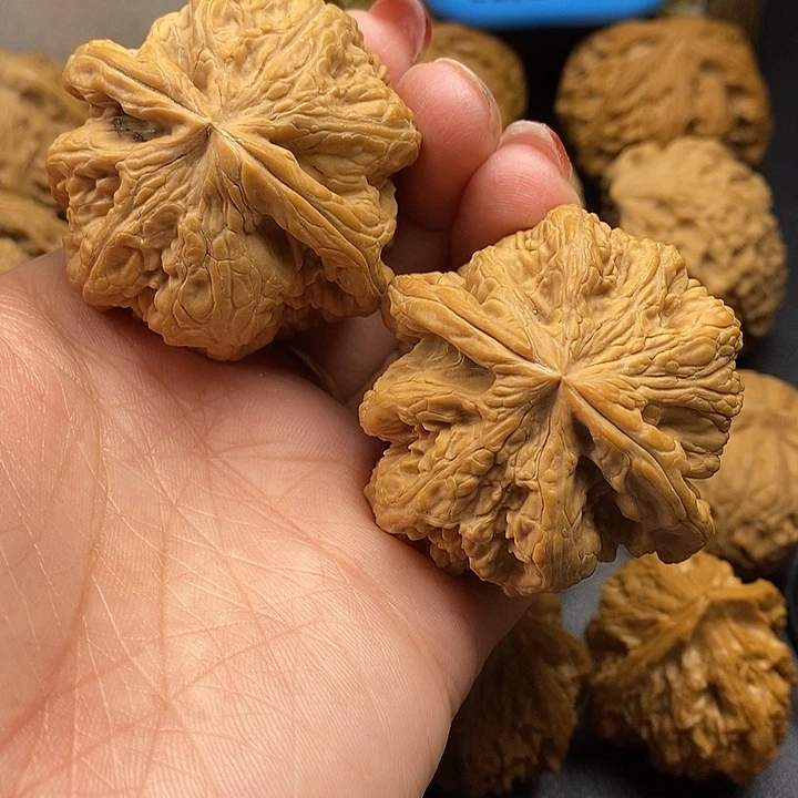 邵***生吊坠龙脊菩提粗筋