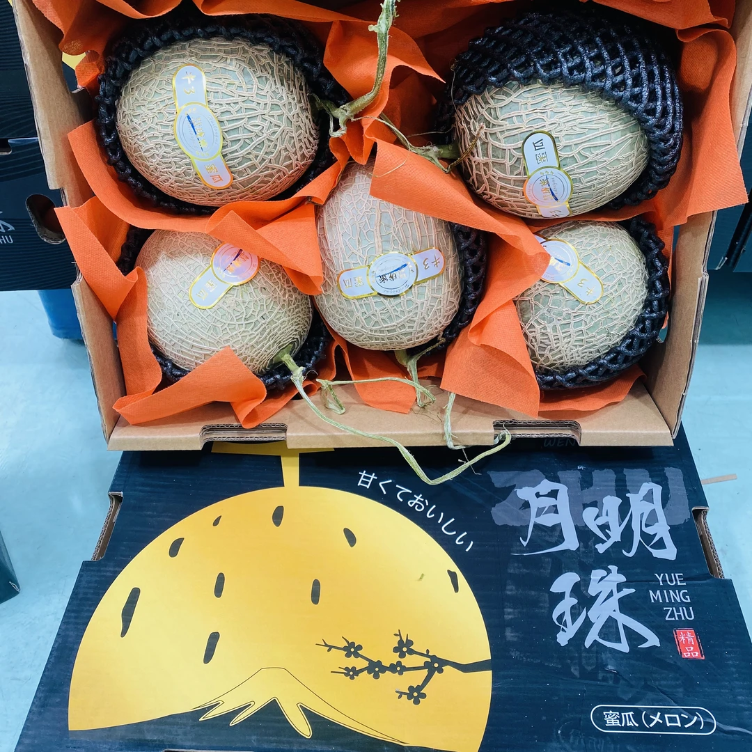 【一箱】明珠网纹蜜瓜 香甜多汁 一箱5颗装带箱12斤左右