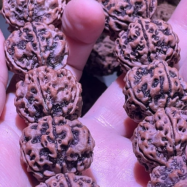 笑***！金刚菩提手串古龙梅花24