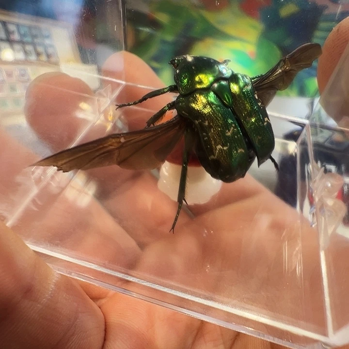 有机玻璃09这8999778998