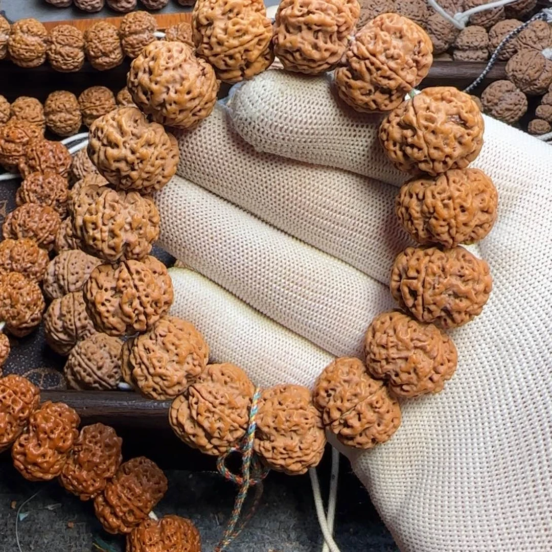 菩提金刚菩提21粗筋梅花