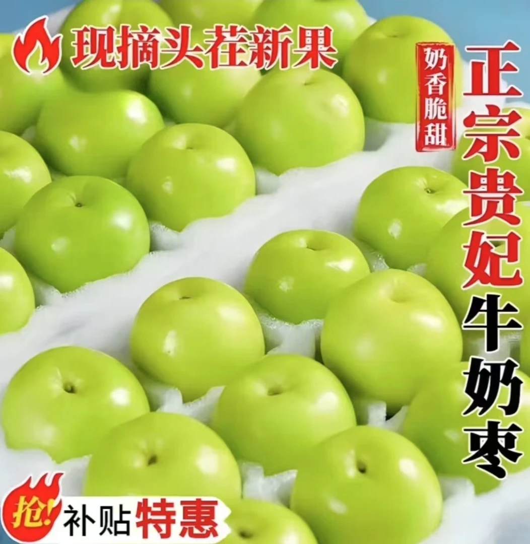 【正宗牛奶枣】福建漳州贵妃牛奶大青枣5斤装 当季水果大果冬枣整箱