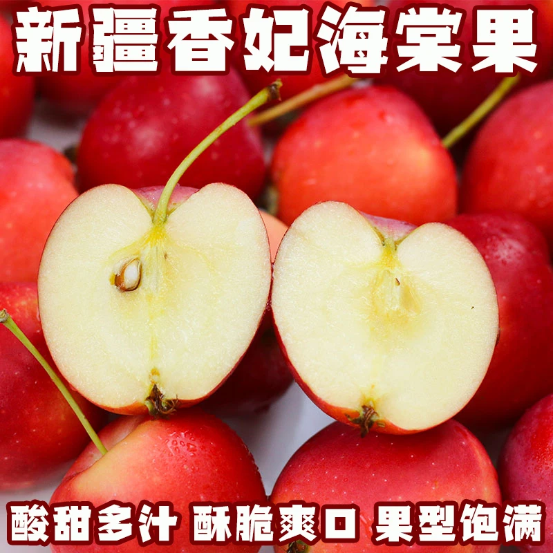 新疆香妃海棠果伊犁特产酥脆爽口酸甜多汁新鲜采摘果型饱满小苹果