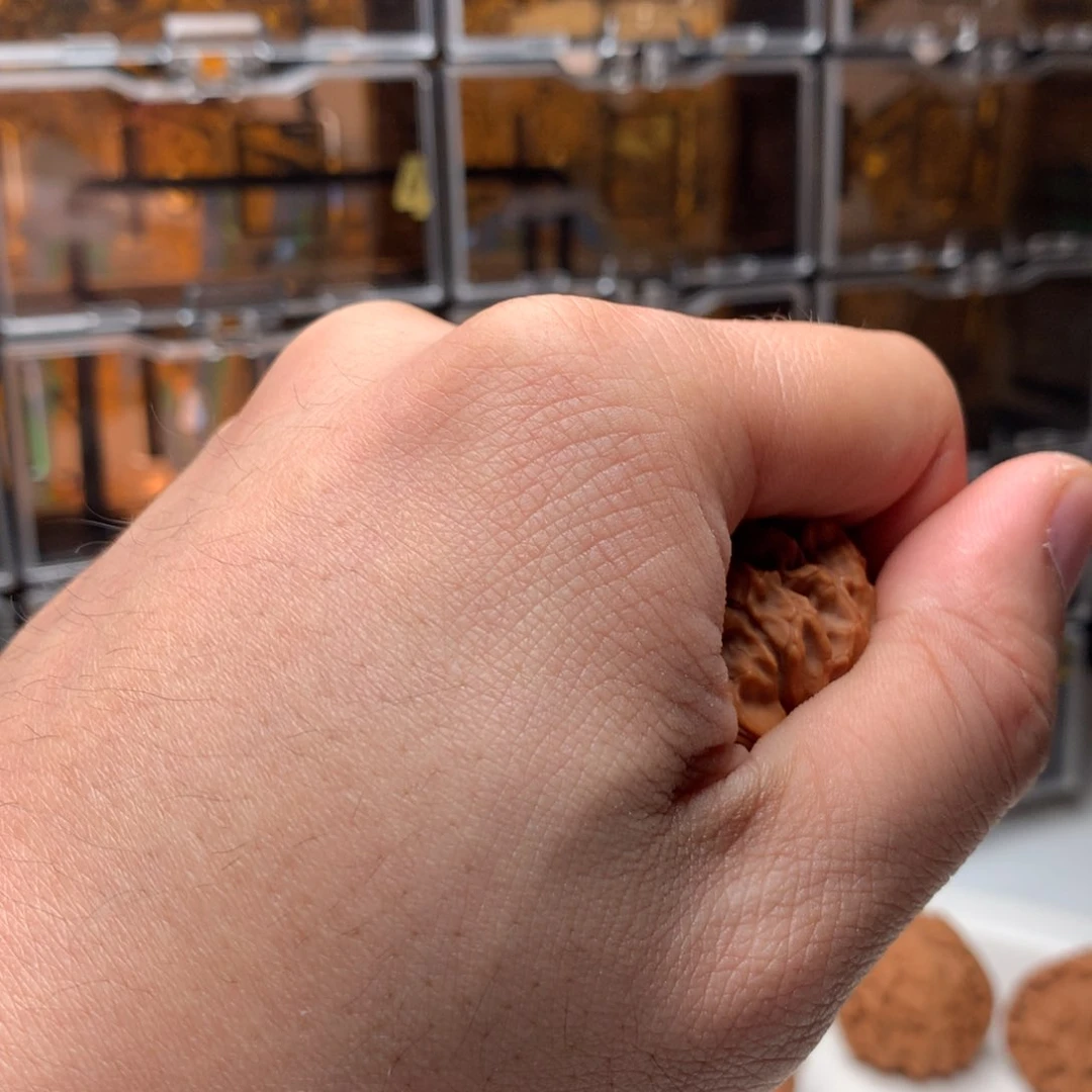 桃核把件脏*?马老四 666888