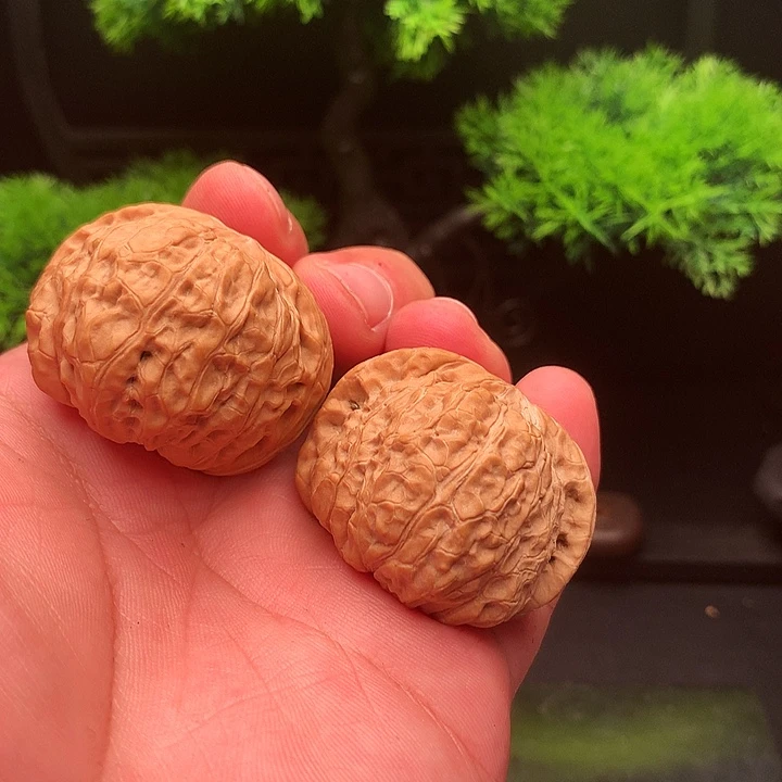 吊坠文玩核桃用****445尺南瓜炖