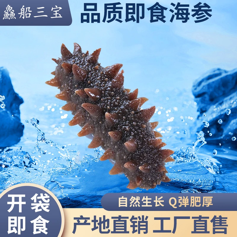 【渔三宝】烟台发货 6斤装即食海参  15-18头 速冻发货顺丰到家