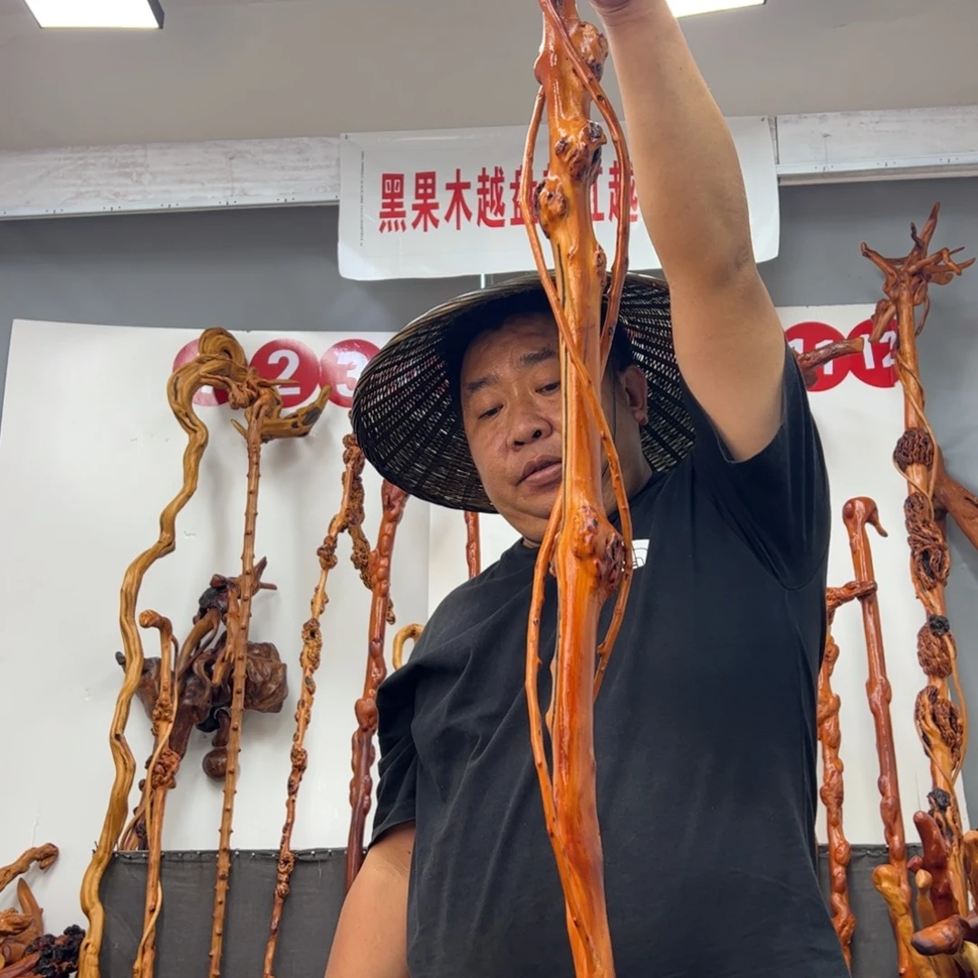 她***W黑果木其他黑果木996