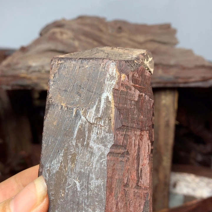 檀香紫檀（小叶紫檀）阳**昕