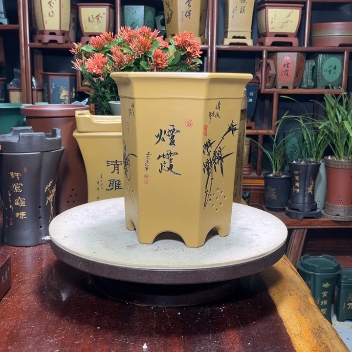 丿关注陶霸廊精品紫砂