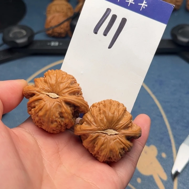 吊坠文玩核桃V*P白狮子 41全品 111