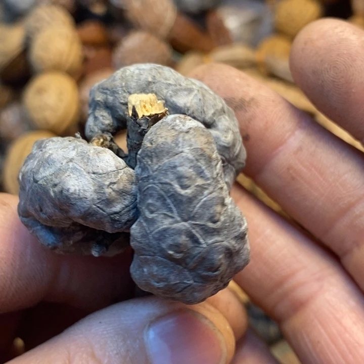 吊坠桃核娜姐在一起74